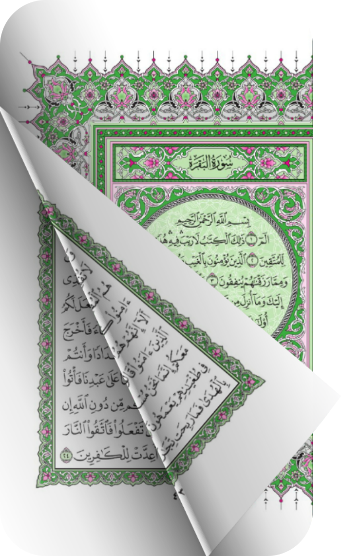 واجهة التطبيق